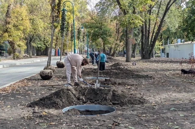 Высадка липовой аллеи.