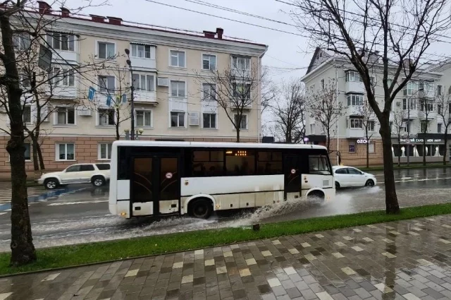 В Южно-Сахалинске днем временами небольшой дождь, температура +7…+9°С.