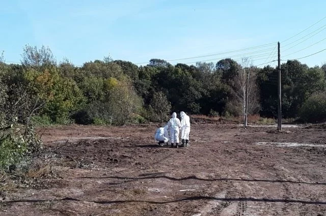 Свалку в Цивильском округе ликвидировали.