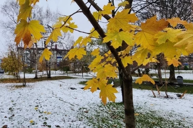 В Южно-Сахалинске днем без существенных осадков, температура +1…+3°С.