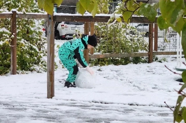 В Южно-Сахалинске днем небольшой снег, температура +4…+6°С.