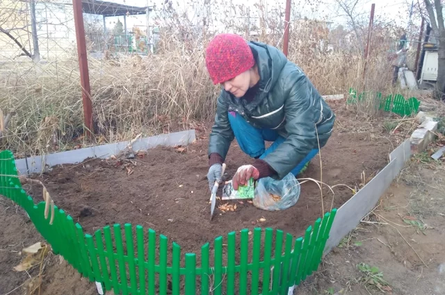 Дачники доделывают всё, что не даёт им покоя, например, подзимний посев в подготовленные заранее грядки.