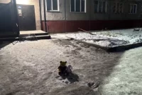 На месте трагедии появился стихийный мемориал. Новосибирцы несут игрушки и цветы.