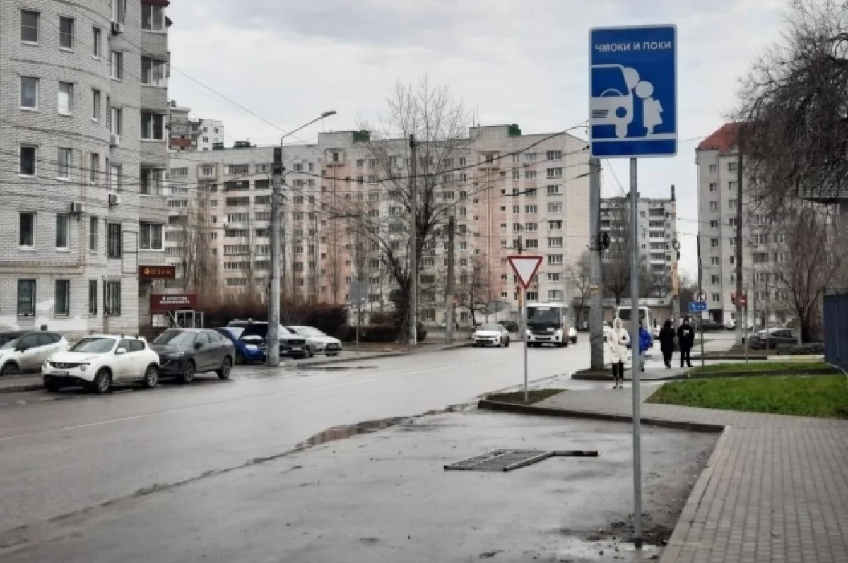 В Воронеже появился дорожный знак «Чмоки и поки»