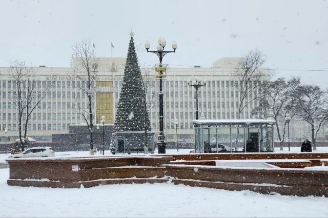 В Южно-Сахалинске днем временами небольшой снег, на дорогах  гололедица, температура 0…+2°С.