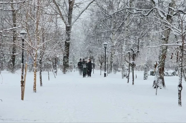 В Южно-Сахалинске днем без существенных осадков, на дорогах гололедица, температура +1…+3°С.