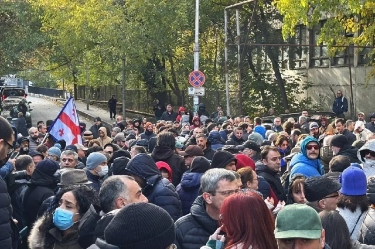 Мдинарадзе: около трети протестующих в Тбилиси являются иностранцами