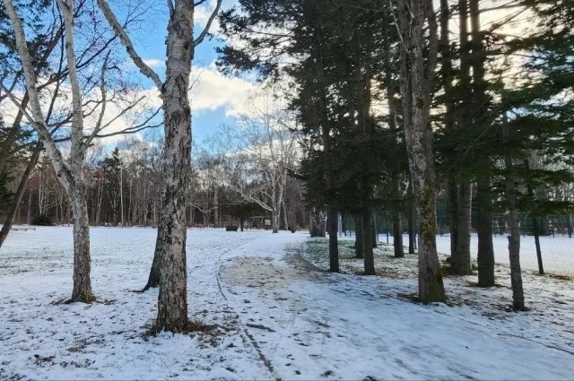 В Южно-Сахалинске днем без существенных осадков, температура -4…-6°С.