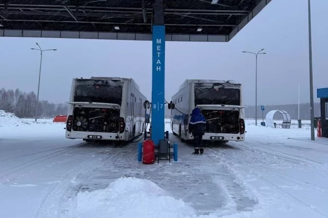 В ближайшее время автобусный парк в Сургуте пополнят ещё десять новых автобусов. 