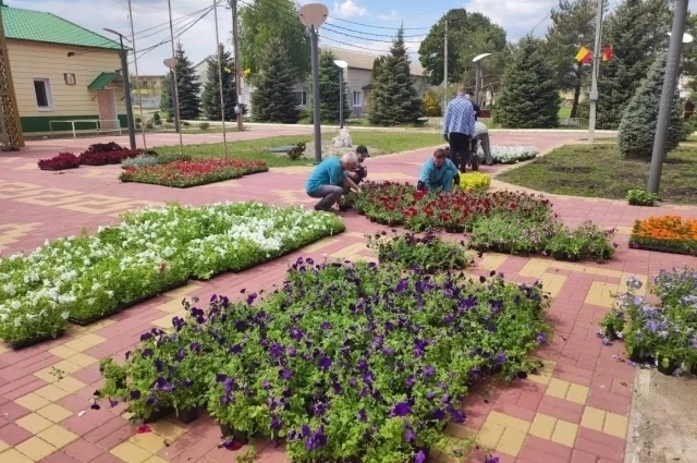 Территорию психиатрического стационара украшают тысячи цветов. 