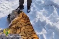 Прокуратура района взяла на контроль ход расследования и результаты доследственной проверки