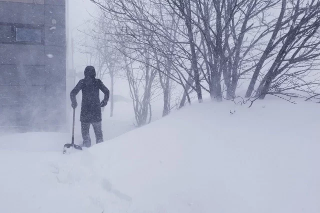 В Южно-Сахалинске сильный снег, метель, температура -2…-4°С на сутки.