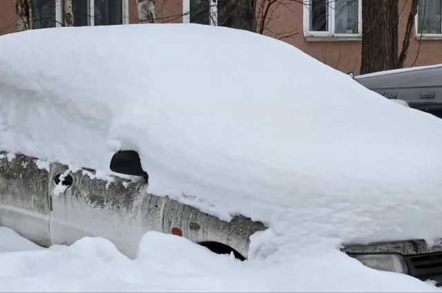 В Южно-Сахалинске днем временами небольшой снег, температура -2…-4°С.