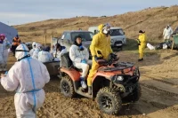 От крупных фракций мазута пляжный песок волонтёры очищают на месте.
