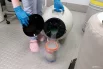 Образцы ДНК животных хранят в замороженном виде.