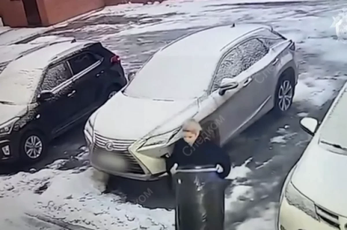 Зима в москве проект мэра
