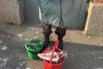 Осколки люди собирают в вёдра.