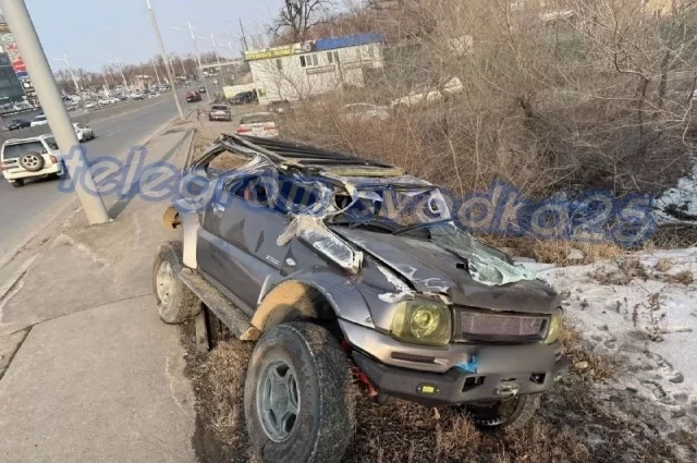 Причиной аварии стало то, что собака внезапно выбежала на дорогу