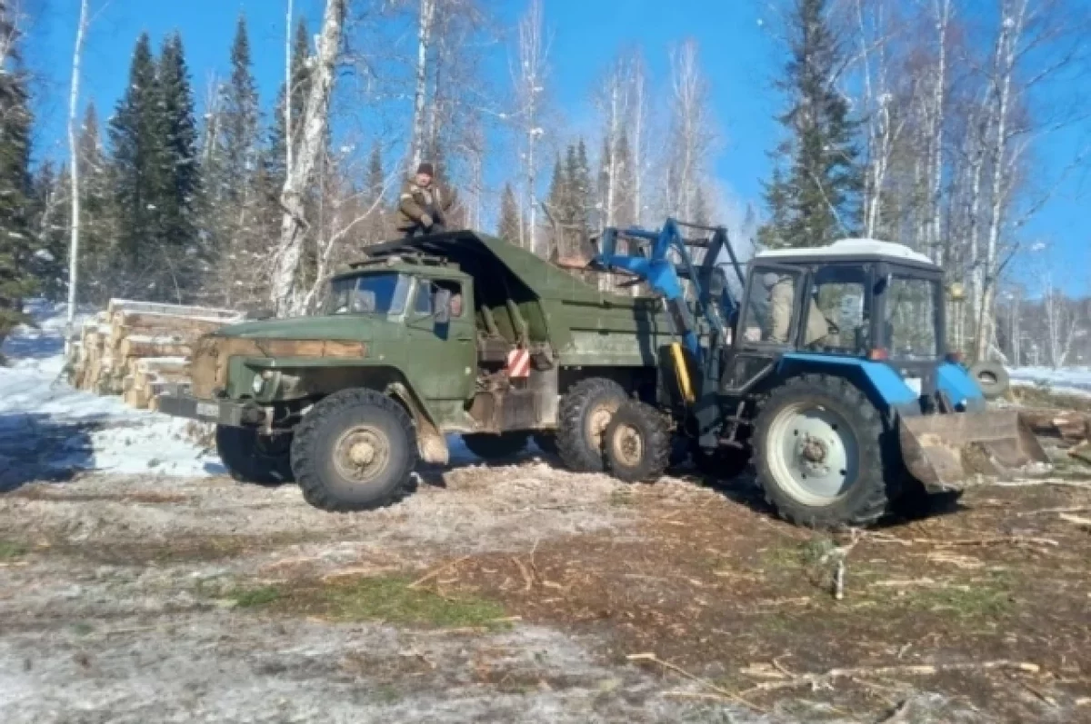 Жителям Республики Алтай начали выдавать бесплатные дрова