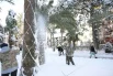 В Сочи с пальм сбивают снег.