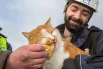 Кот Мостик поддерживал строителей и в будни, и в праздники.