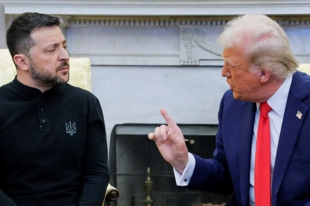 Владимир Зеленский и Дональд Трамп.