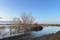 Глава Орска рассказал о ситуации по дамбе