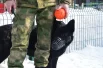 Директор фонда Наталья Рюмина уверена, что собаки способны развить эмпатию и чувство сострадания у детей с такими судьбами. 