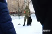 Чёрная Багира, например, очень любит свой оранжевый мяч и ради него готова выполнять различные трюки: сидеть, лежать, бежать рядом и показательно гавкать. 