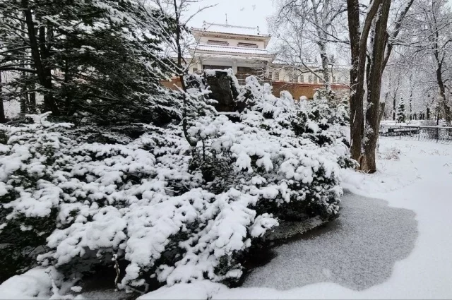 В Южно-Сахалинске днем умеренные осадки, температура 0…+2°С.