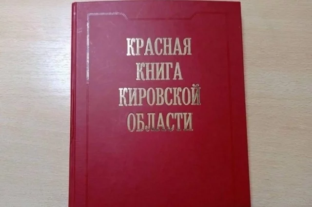 Рукопись нового издания Красной книги Кировской области будет готова к концу 2025 года