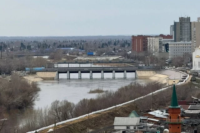 В зоне риска город Курган и село Звериноголовское. 