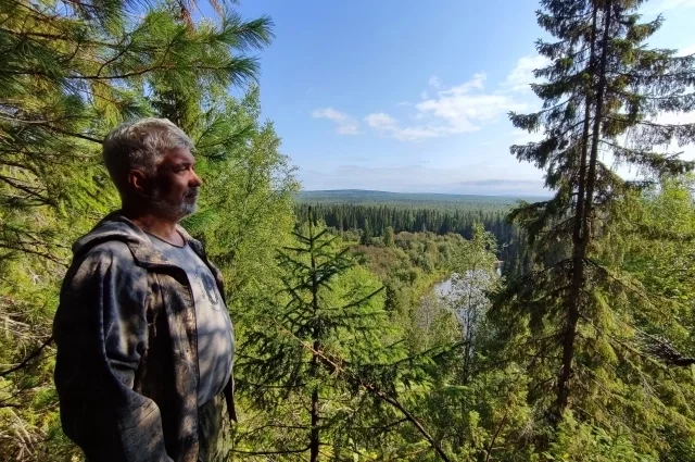 Лес для Юрия Паутова был живым организмом. 