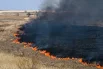 Природные пожары в Приморье: 10 фото стихии3