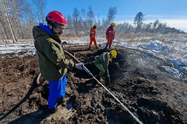 Борьба с перезимовавшими зомби-пожарами – дело хлопотное: приходится перекапывать тлеющие торфяники и заливать очаги водой.