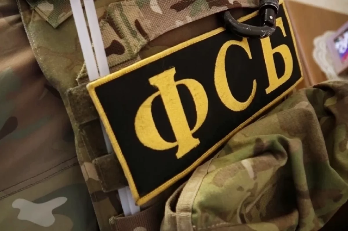 ФСБ: спецслужбы Украины под видом фирмы из США пытаются завербовать россиян0