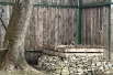 Белоголовый сип сидит в гнезде, которое он уже успел свить.