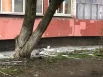 Обстановка у дома.