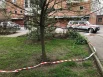 Оборванная сигнальная лента на клумбе у дома на Ленина, 147.