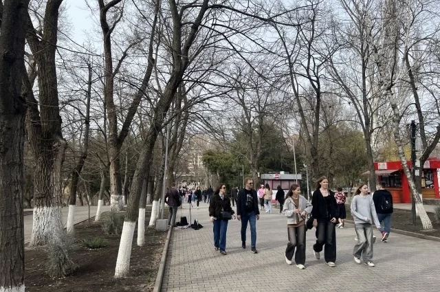 В последние годы парк стал выглядеть неухоженным и частично заброшенным.