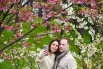 Цветение сакуры в Сочи: 10 красивых фото4