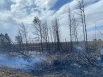 В Минусинском районе объявили режим ЧС из-за лесных пожаров.