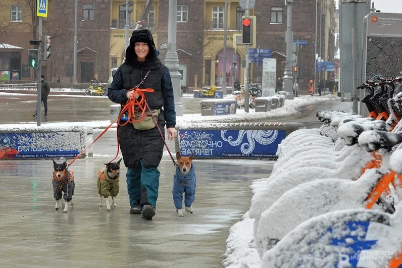 Апрельский снег в Москве.