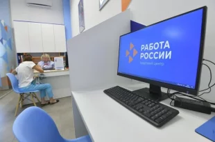 Все ЦЗН оформят в едином стандарте, обновят оборудование, особое внимание уделят цифровизации.