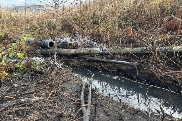 Такого цвета воду сливают предприятия обратно в реки. 