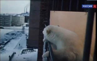 Айка на балконе смотри на Норильск.
