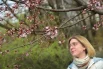  Старейшая сакура в Москве, привезенная из Японии 15 лет назад, зацвела впервые.
