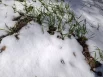 Омск накрыл мощный снегопад в середине апреля, шокировав местных жителей.