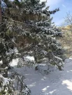 Горожане активно фиксируют природное явление на камеры и создают юмористические посты в соцсетях о “возвращении зимы”.