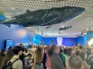 Отдельный стенд был посвящён жизни и творчеству красноярского писателя Виктора Астафьева.